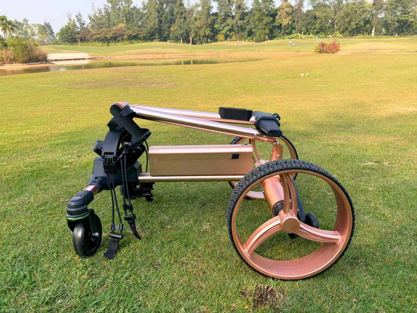 NEXRIDE G1 Electric Golf Trolley – Remote Control & Compact Fold Design