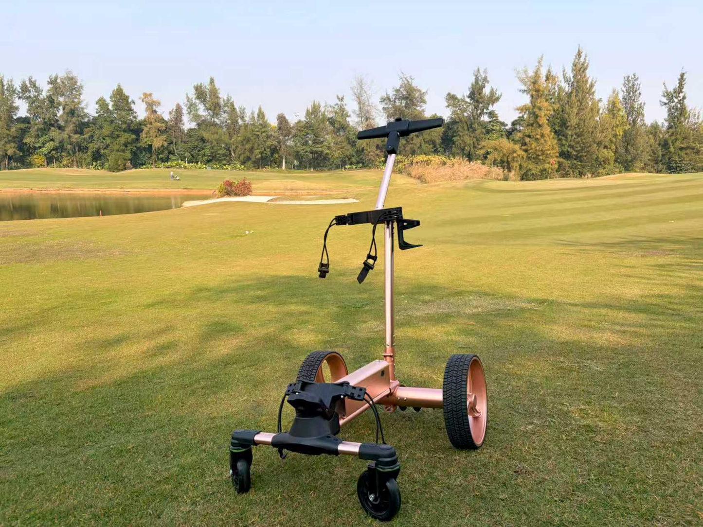 NEXRIDE G1 Electric Golf Trolley – Remote Control & Compact Fold Design